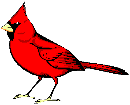Artemus Ward Cardinals Artemus Ward Cardinals