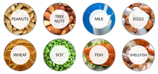 The Big 8: Peanuts, Tree Nuts, Milk, Eggs, Wheat, Soy, Fish and Shellfish
